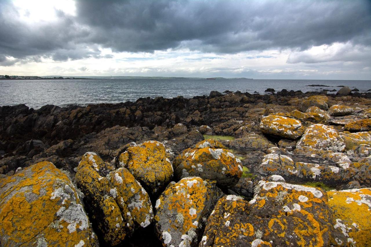 Tern Cottage Groomsport Екстериор снимка